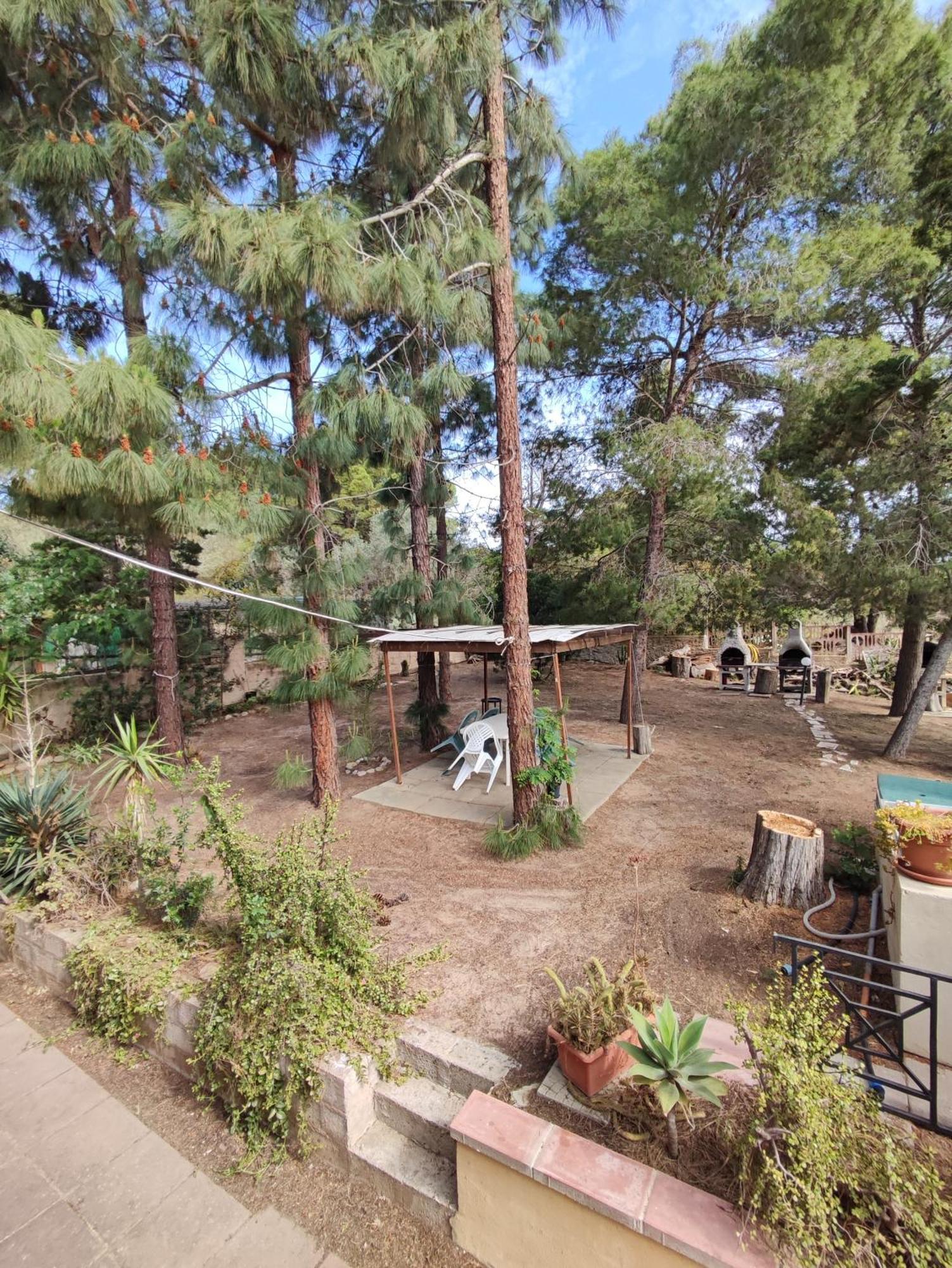 Appartamento Casa Sonia Porto Pino Esterno foto
